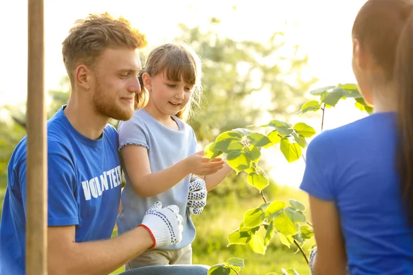 Kleines Mädchen pflanzt mit Freiwilligen Baum im Park — Stockfoto