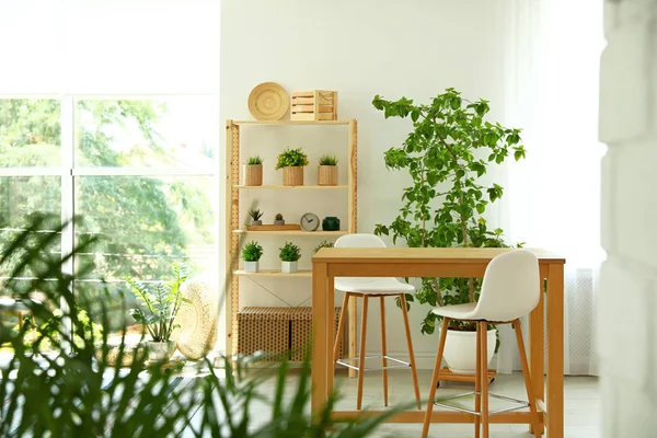 Intérieur élégant avec de beaux meubles en bois — Photo