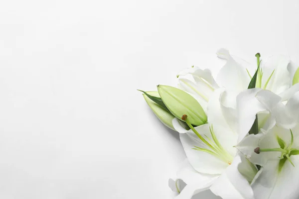 Beautiful lilies on white background, top view