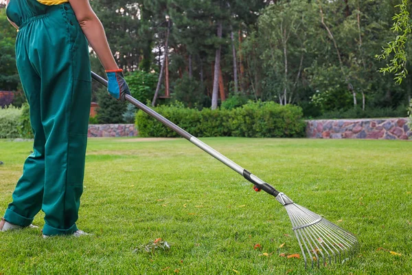 Woman raking green lawn at backyard. Home gardening