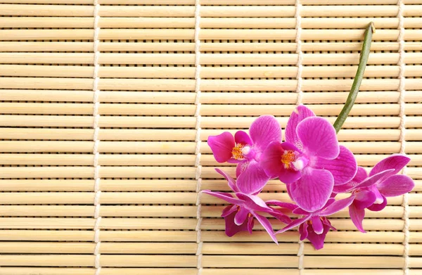 Widok z góry na piękne kwiaty orchidei na mat bambusa, miejsce na tekst — Zdjęcie stockowe