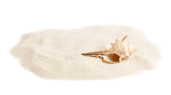 Pile of beach sand with sea shell on white background — Stock Photo, Image