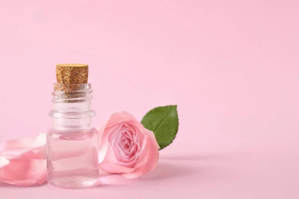 Butelka olejku eterowego i Róża na różowym tle. Miejsce na tekst — Zdjęcie stockowe