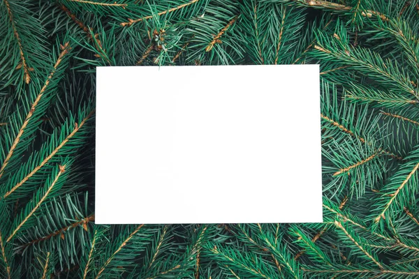 배경, 상단보기로 크리스마스 트리 지점에 빈 카드. 텍스트를 위한 공간 — 스톡 사진