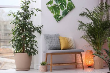 Egzotik houseplants ile şık modern oda iç