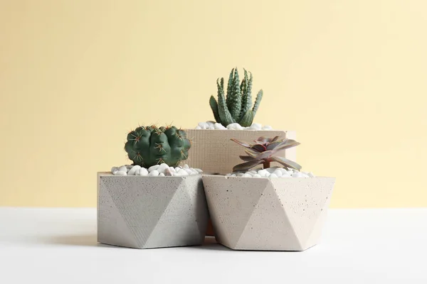 Belas plantas suculentas em vasos elegantes na mesa contra o fundo amarelo. Decoração de casa — Fotografia de Stock