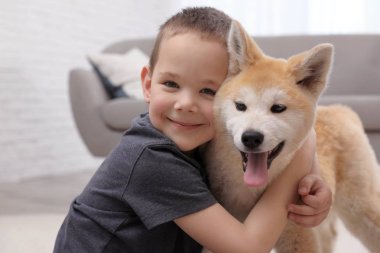Akita Inu köpek kapalı ile mutlu çocuk. Güzel arkadaşlar