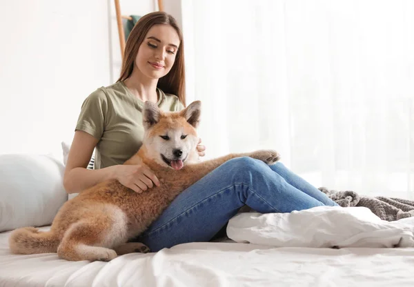 Junge Frau mit entzückendem Akita Inu Hund im Schlafzimmer — Stockfoto