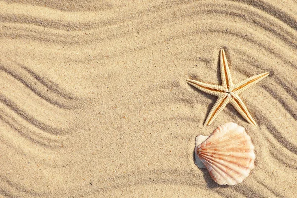 Estrella de mar y concha en la arena de la playa con patrón de olas, vista superior. Espacio para texto — Foto de Stock