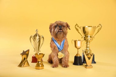 Sarı arka plan üzerinde şampiyon kupa ve madalya ile Sevimli Brüksel Griffon köpek