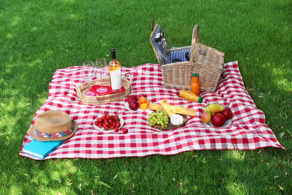 Keranjang piknik dengan produk dan botol anggur di atas selimut kotak-kotak di kebun — Stok Foto