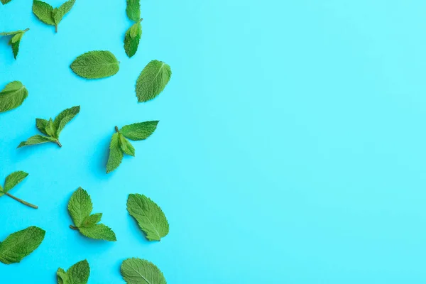 Fresh mint leaves on light blue background, flat lay. Space for text