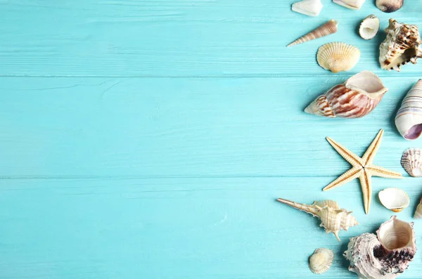 Composición plana con hermosas estrellas de mar y conchas de mar en la mesa de madera azul, espacio para el texto — Foto de Stock
