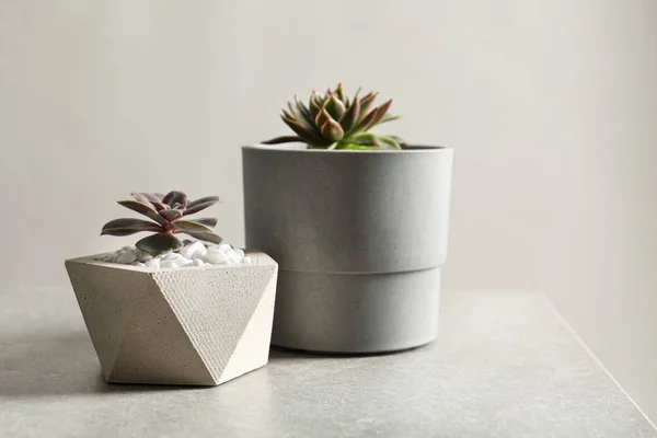 Belas plantas suculentas em vasos elegantes na mesa contra fundo claro, espaço para texto. Decoração de casa — Fotografia de Stock