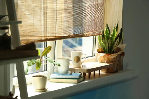 Tanaman hijau di ambang jendela di kamar. Interior bergaya — Stok Foto