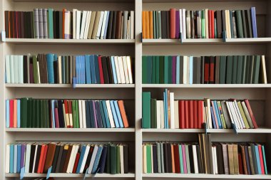 Kütüphanede kitap ile rafların görünümü