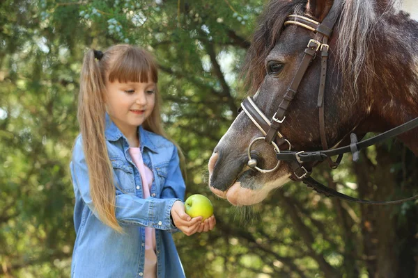 Милая маленькая девочка кормит своего пони яблоком в зеленом парке — стоковое фото