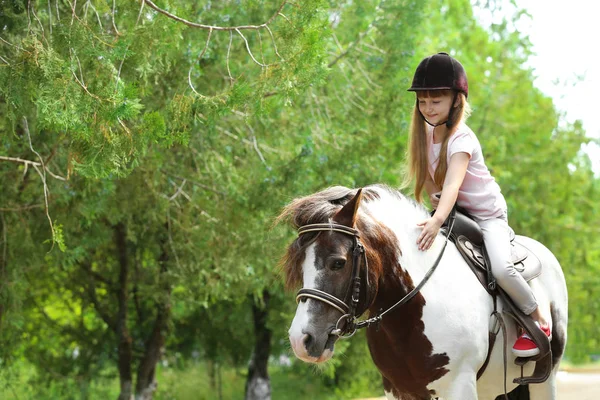 Linda niña montando pony en el parque verde — Foto de Stock