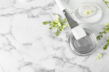 Beyaz mermer masa üzerinde fırça ve çiçekler ile profesyonel yüz maskesi, düz yatıyordu. Metin için alan