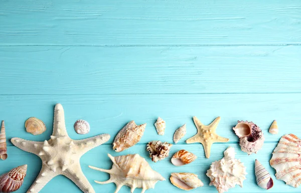 Composición plana con hermosas estrellas de mar y conchas de mar en la mesa de madera azul, espacio para el texto — Foto de Stock