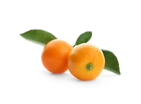 Branch of ripe tangerines isolated on white. Tasty citrus fruit — Stock Photo, Image