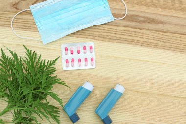 Ahşap arka plan üzerinde ragweed bitki (Ambrosia cinsi) ile düz yatıyordu kompozisyon. Mevsimsel alerji
