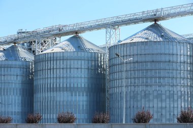 Güneşli bir günde mavi gökyüzüne karşı tahıl asansör görünümü. Tahıl yetiştiriciliği
