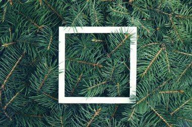 Arka plan olarak Noel ağacı dallarının kapatılması, üst görünüm