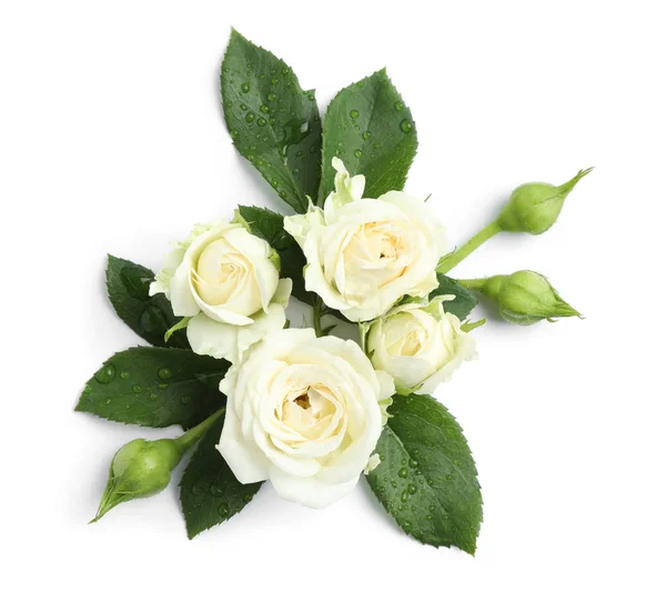 Belle floraison de fleurs roses sur fond blanc, vue de dessus — Photo