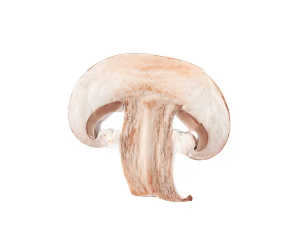 Pedaço de cogumelo champignon fresco sobre fundo branco — Fotografia de Stock