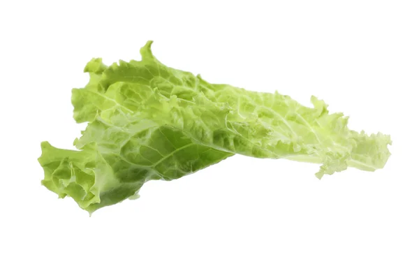 Hoja de lechuga fresca sobre fondo blanco. Ensalada de verduras — Foto de Stock