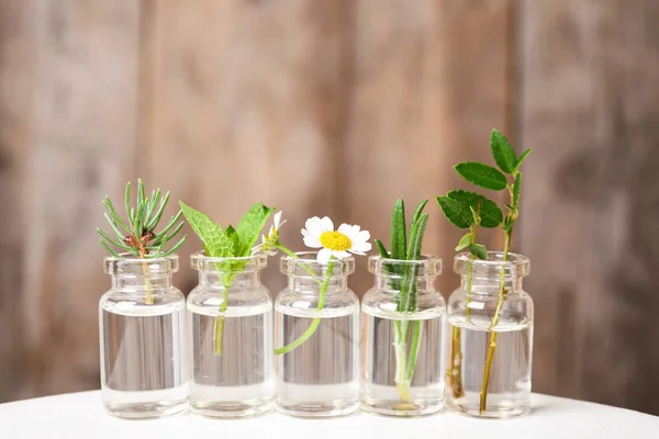 Bottiglie di vetro di diversi oli essenziali con piante in tavola — Foto Stock