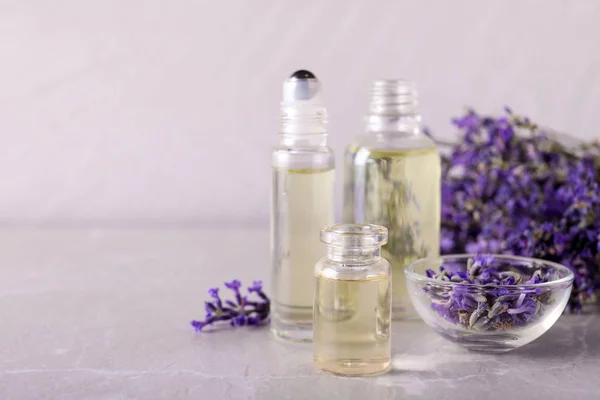 Botellas de aceite esencial y cuenco con flores de lavanda sobre mesa de piedra sobre fondo claro. Espacio para texto — Foto de Stock