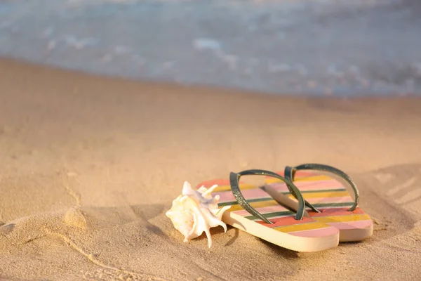 Tongs élégantes et coquille sur le sable près de la mer, espace pour le texte. Accessoires de plage — Photo