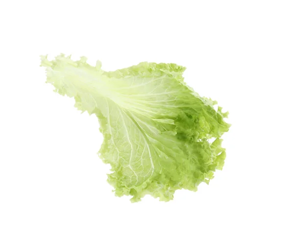 Feuille de laitue fraîche sur fond blanc. Verts à salade — Photo