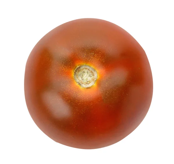 白色背景上新鲜成熟的棕色番茄 — 图库照片