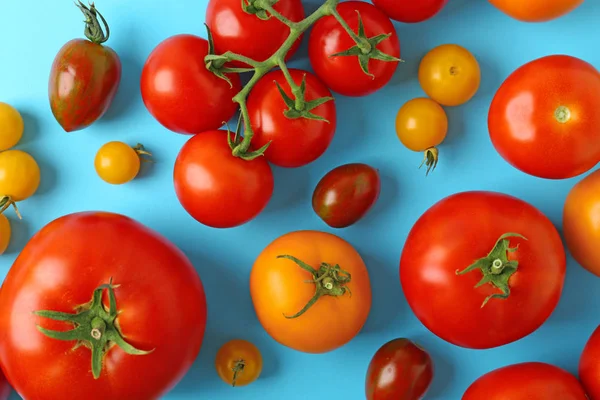 Пласка композиція зі свіжими стиглими помідорами на світло-блакитному фоні — стокове фото