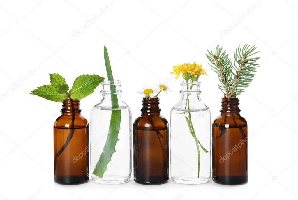 Glass bottles of different essential oils with plants on white background