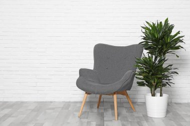 Dracaena ve beyaz tuğla duvarda sandalye, metin için alan. Modaev iç tasarım Bitkiler