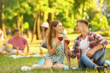 Genç çift yaz günü parkta piknik keyfi
