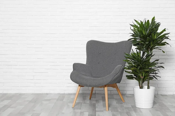Dracaena en stoel op witte bakstenen muur, ruimte voor tekst. Planten in trendy interieur design — Stockfoto