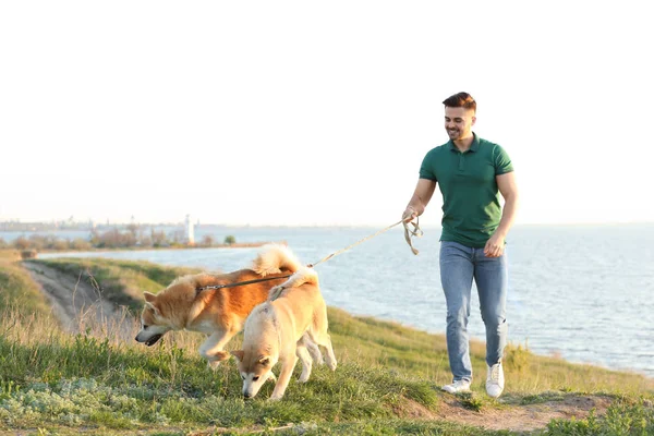 Junger Mann spaziert mit seinen entzückenden Akita Inu Hunden in der Nähe des Flusses — Stockfoto