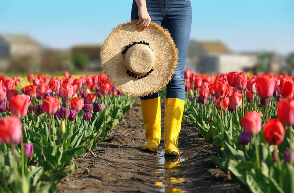 Kobieta w gumowe buty spaceru po polu z pięknymi tulipany po deszczu, zbliżenie — Zdjęcie stockowe