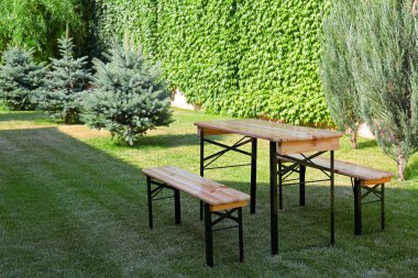 Yeşil parkta banklı ahşap piknik masası. Metin için alan