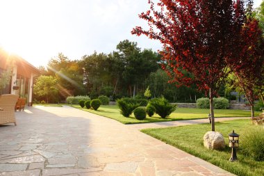 Güneşli bir günde evin yakınında güzel yeşil bahçe ile pitoresk manzara