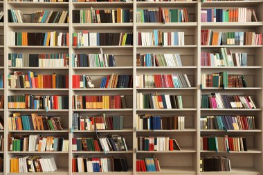 Kütüphanede kitap ile rafların görünümü