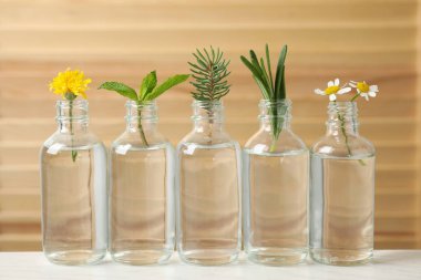 Masada bitkiler ile farklı uçucu yağlar Cam şişeler