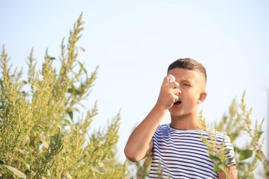Açık havada ragweed alerjisi muzdarip inhaler ile küçük çocuk