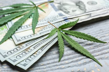 Kenevir yaprakları ve ahşap arka plan üzerinde dolar, closeup