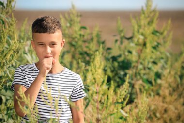 Küçük çocuk ragweed alerjisi açık havada muzdarip